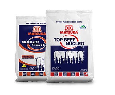 nucleo